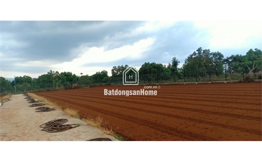 Bán 50ha đất kho nhà xưởng 50 năm tại Huyện Triệu Sơn, Tỉnh Thanh Hóa